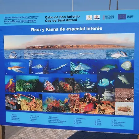 Appartement Marinas Ii En *