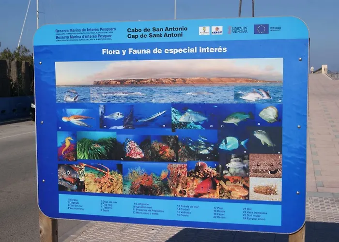 Lejlighed Marinas Ii En *